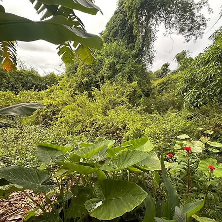 Siem Reap Homesteading Garden Retreat