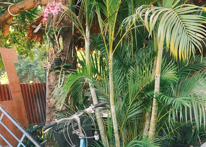 Homesteading Garden Retreat 宾馆 暹粒