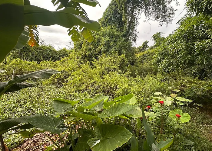 Homesteading Garden Retreat