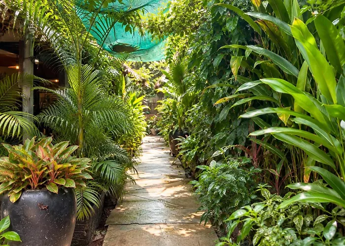 宾馆 Homesteading Garden Retreat